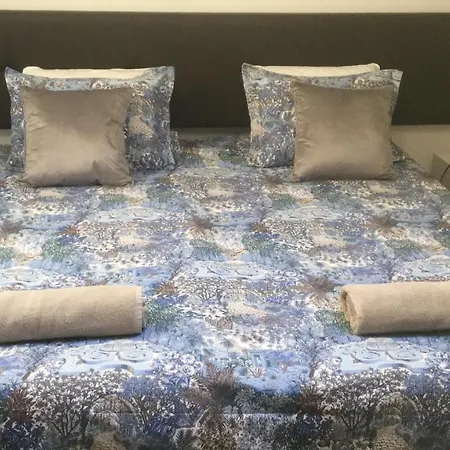 Beaches, Culture And Heritage Barrocas Village House Olho Marinho